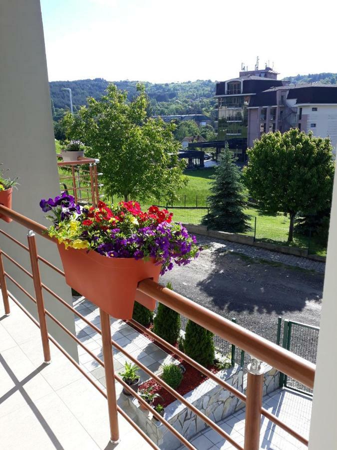 Simica Cose Appartement Vrdnik Buitenkant foto
