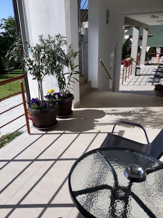 Simica Cose Appartement Vrdnik Buitenkant foto